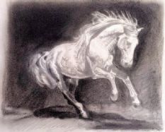 Iberian Horse Art Print